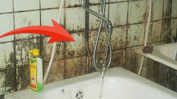 Как самостоятельно и с помощью профессионалов убрать черную плесень со стен?