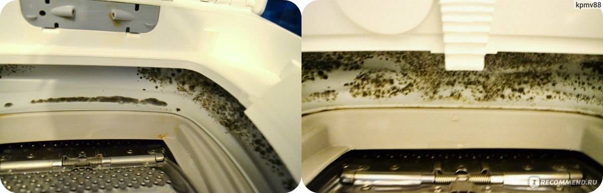 Незаметный вред: плесень в стиральных и посудомоечных машинах