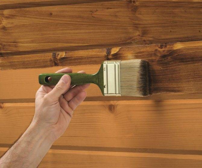 20 способов избавиться от плесени на стенах в домашних условиях | только лучшие методы