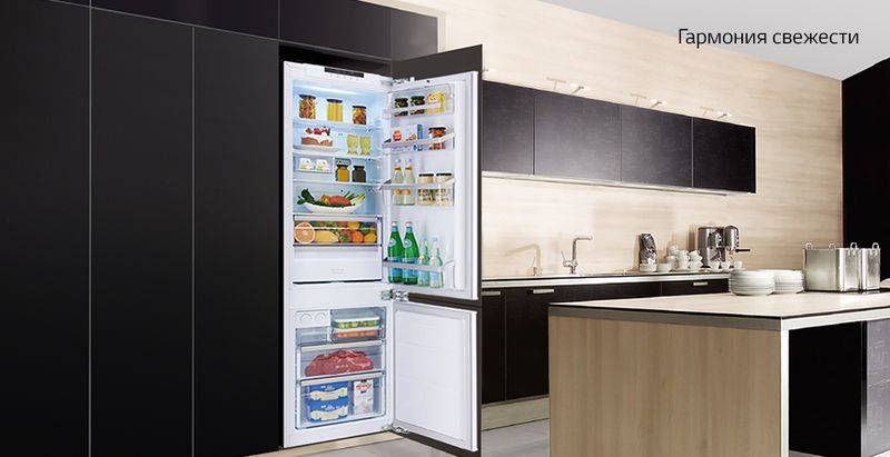 Как правильно выбрать холодильник и какой марки лучше?