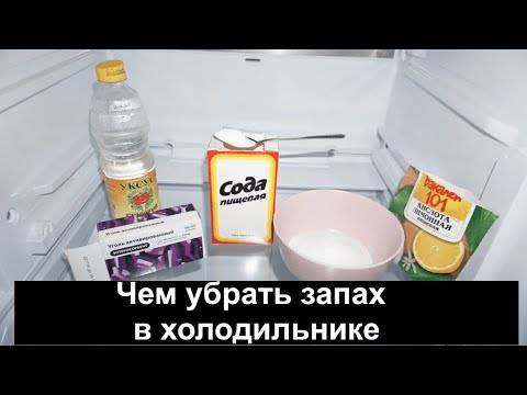 Как избавиться от запаха в холодильнике: причины появления, как устранить и не допустить повторного появления
