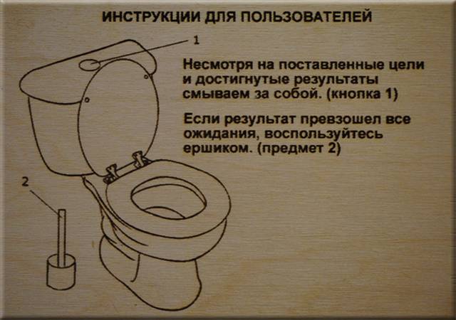 Почему нельзя читать в туалете — разбираемся по пунктам