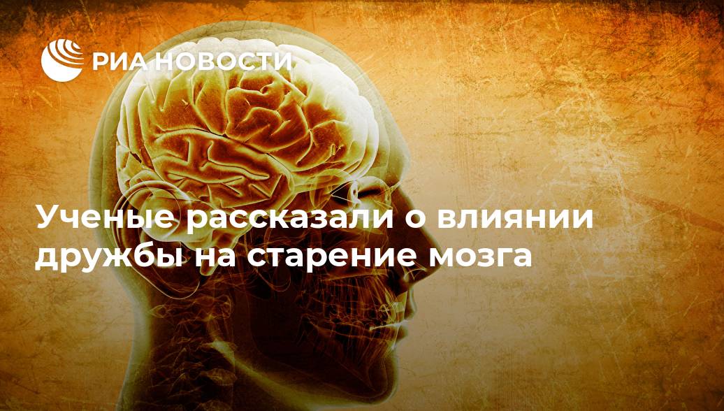 Яковлев в.а. функциональная анатомия старения мозга.