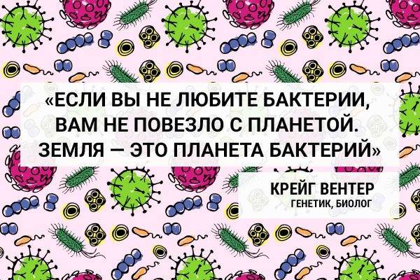 13 вещей, которые нельзя смывать в унитаз, иначе проблемы вам обеспечены :: инфониак
