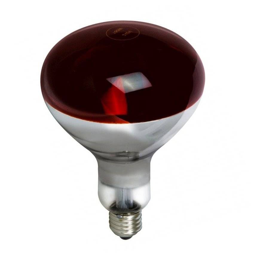 Бытовые инфракрасные лампы: как выбрать ик лампочку + обзор лучших производителей
