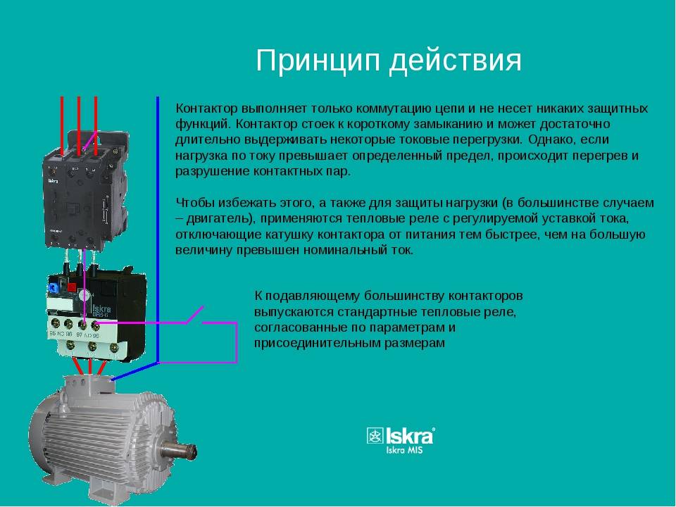Тепловое реле: устройство, принцип работы, виды и схема подключения