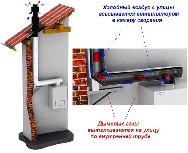 Турбированный или атмосферный газовый котел - преимущества, отличия, монтаж
