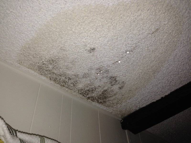 Миф про грибок под натяжным потолком