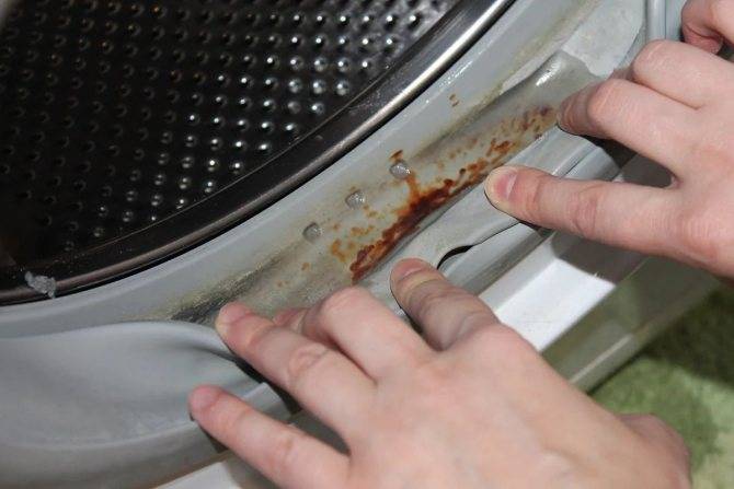 Запах и плесень в стиральной машине ???? как избавиться: 5 способов чистки в домашних условиях