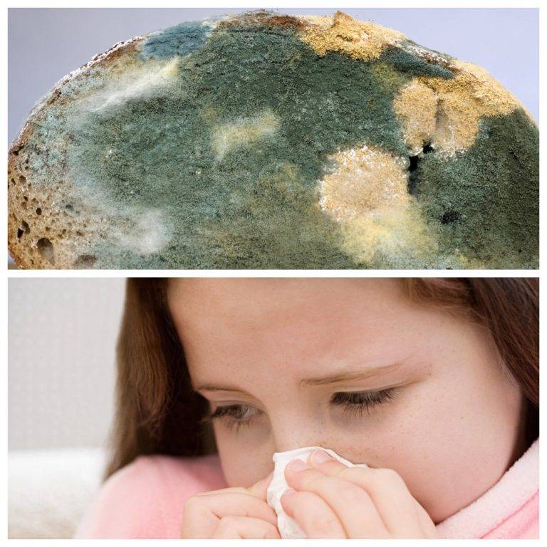 Вредная пыль: от аллергии до рака или чем опасна минеральная вата