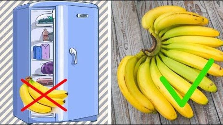 Частая ошибка: почему бананы нельзя хранить в холодильнике