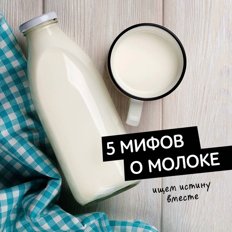 Молоко – можно ли его пить взрослым людям? 8 мифов о молоке