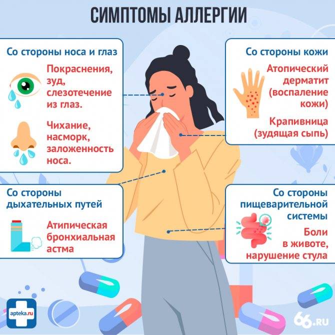 Какая техника поможет при аллергии? разбираемся вместе с врачом-аллергологом