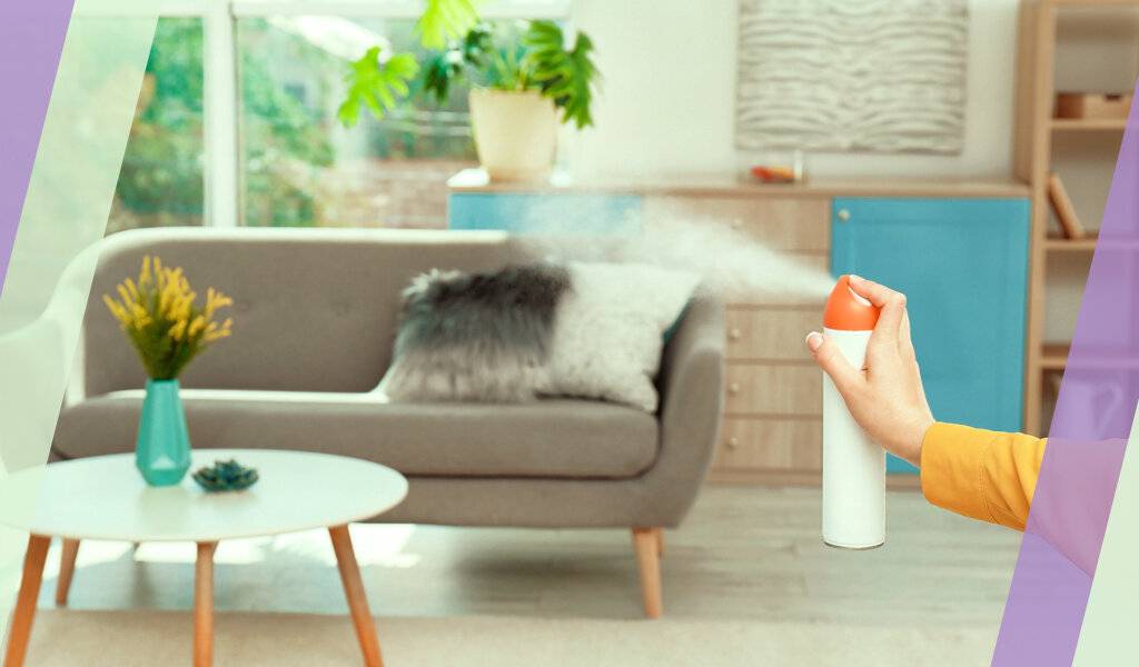 Как избавиться от неприятного запаха в квартире: эффективные способы