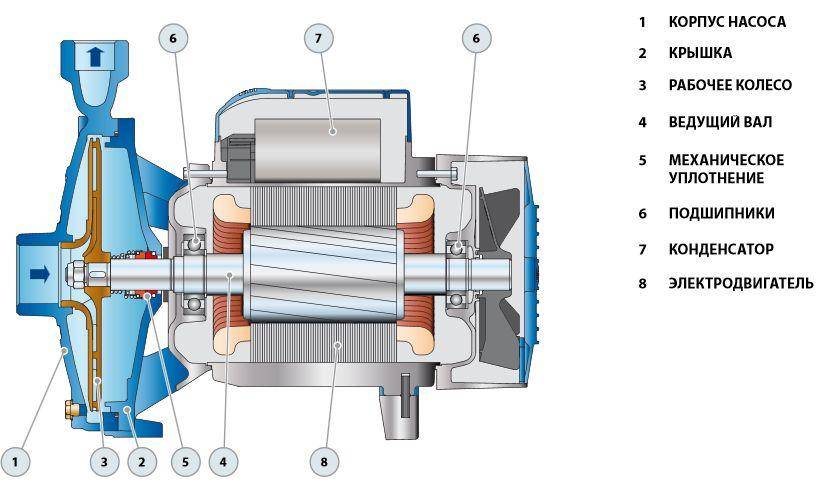 ТОП-12 центробежных насосов для скважины: рейтинг лучших + рекомендации по выбору оборудования