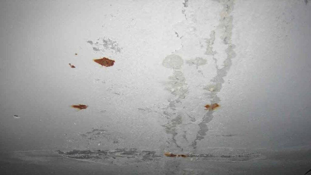 Как отмыть пятна на натяжном потолке: причины появления, способы борьбы, моющие средства