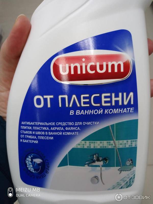 Топ-3 способа как избавится от грибка и плесени в помещение