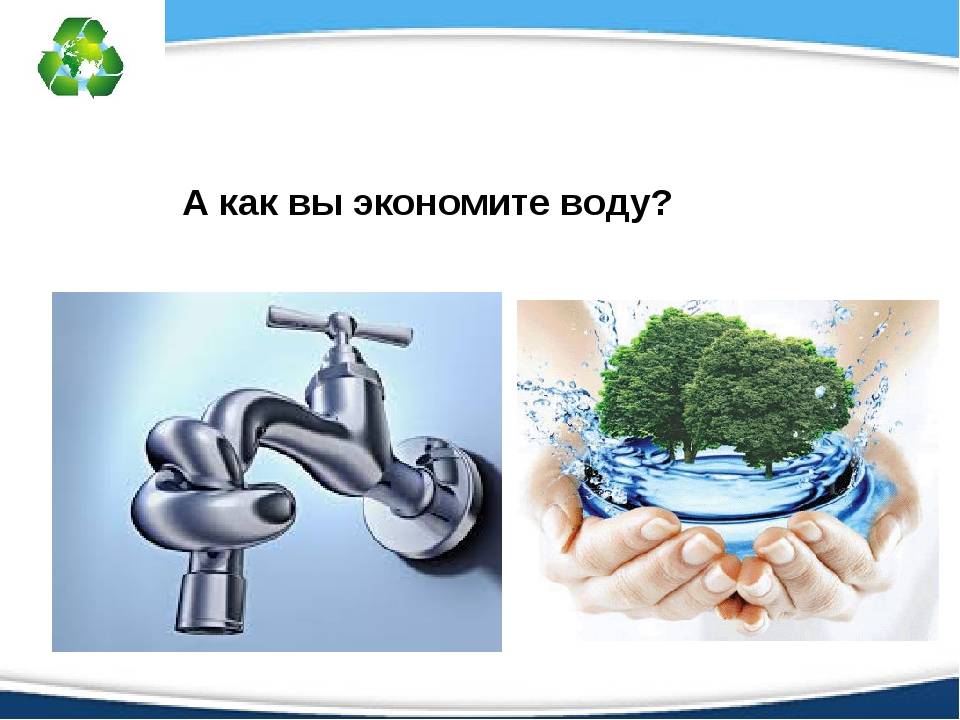 Проблемы экологии. как мы можем помочь – porusski.me