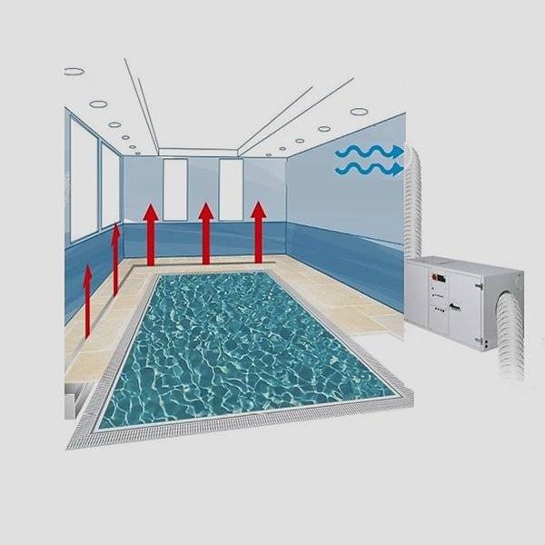 Осушители для бассейнов: как выбрать и рассчитать оптимальный осушитель воздуха