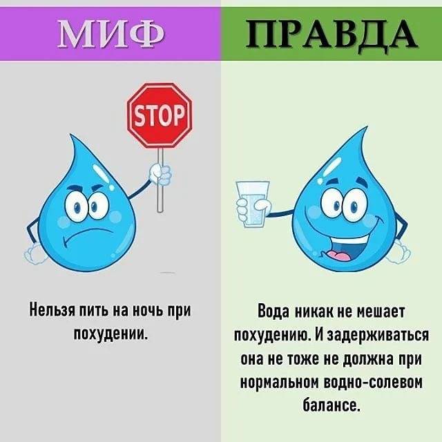 Котам нельзя молоко? [правда или миф] - mnogo-krolikov.ru