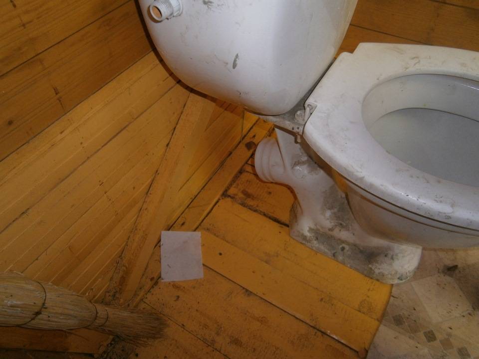 Виды дачных туалетов: фото, какие бывают туалеты для дачи, какой туалет лучше