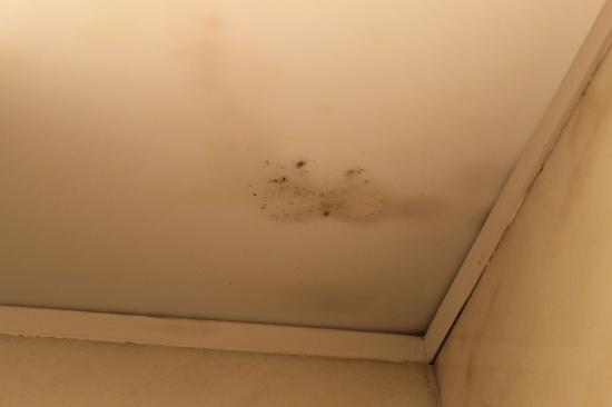 Причины появления мокрых пятен с ржавчиной на потолке
