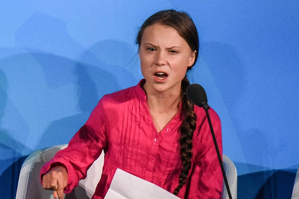 Биография шведской активистки греты тунберг, чье выступление в оон облетело весь мир