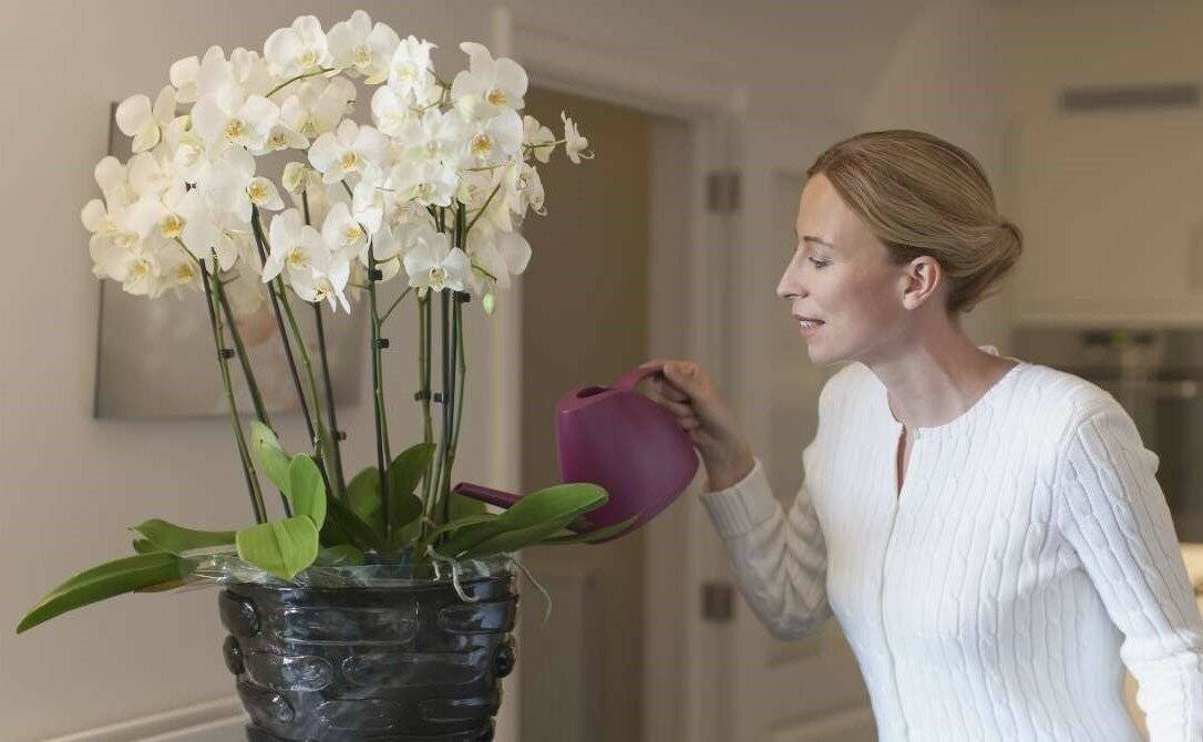 Можно ли дома держать искусственные цветы в вазе или как украшение интерьера - приметы