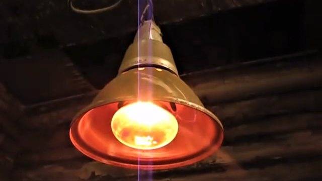 Как установить инфракрасную лампу в курятнике