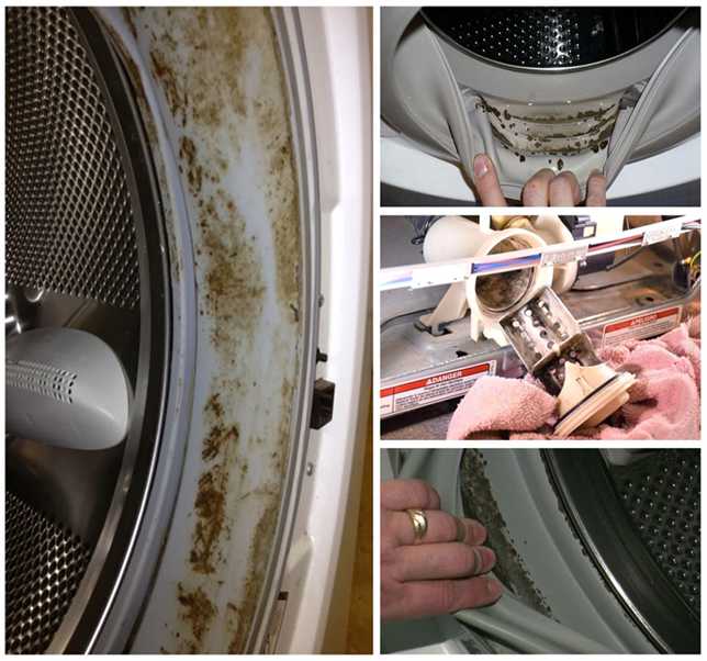 Плесень в стиральной машине: как избавиться в домашних условиях