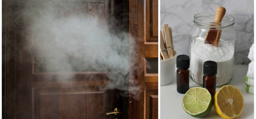 10 причин и 10 способов побороть запах в доме