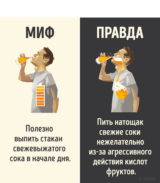 Котам нельзя молоко? [правда или миф] - mnogo-krolikov.ru