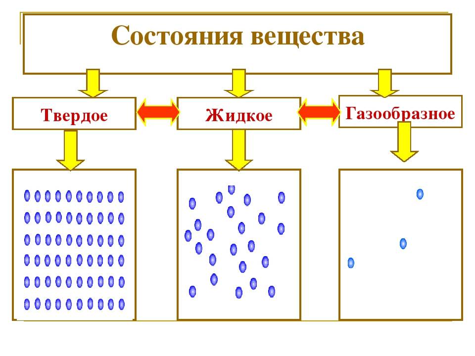 Виды биотоплива: разновидности, характеристики, преимущества