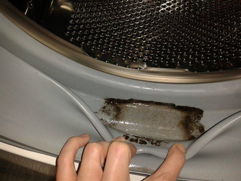 Плесень в стиральной машине: как избавиться, убрать запах плесени