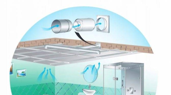 Нужна ли принудительная вентиляция в ванной: нормы и этапы обустройства эффективного воздухообмена