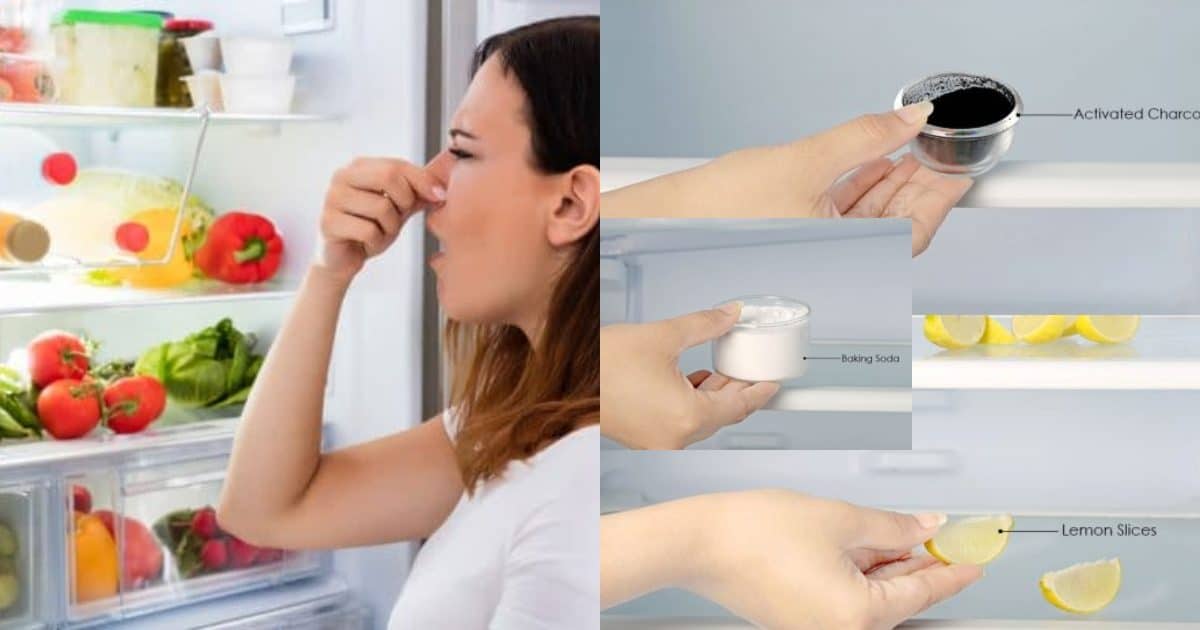 Обзор эффективных средств для устранения запаха внутри холодильника