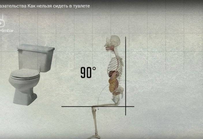 Почему нельзя и что будет если долго сидеть в туалете: проктологи предупреждают
