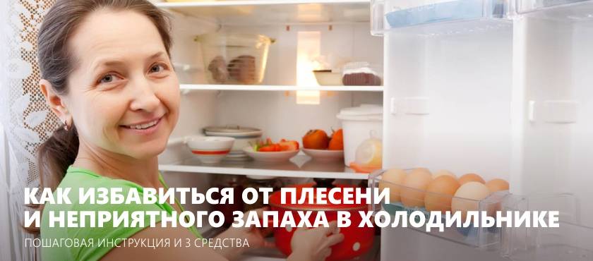 Как убрать запах из холодильника: полное пособие