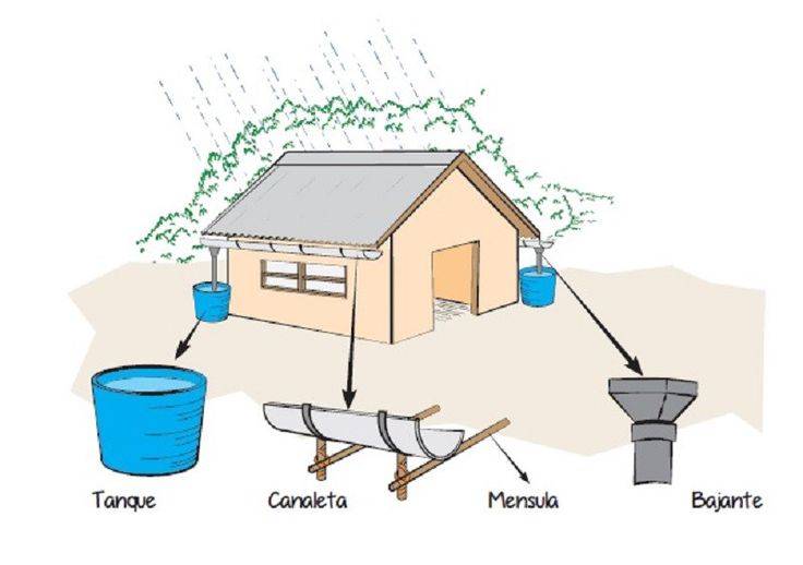 Куда лучше всего отводить воду с крыши? советы профессионалов