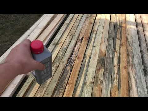 Как убрать плесень с деревянных поверхностей: обзор самых эффективных методов